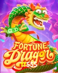 FF555.COM
