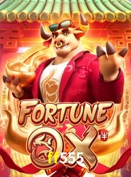 FF555.COM